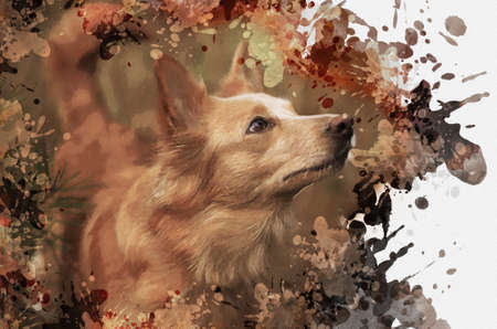 Portrait of a red mixed breed dog. The female dog looks upwards into the stern. Pet. Contemporary digital watercolor painting.の写真素材