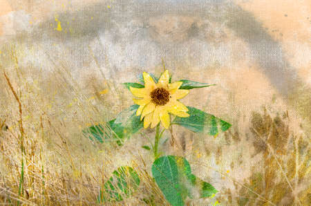 A single yellow sunflower flower among dry grasses. Tall oil plant with green leaves. Agribusiness, farming. Digital watercolor paintingの写真素材