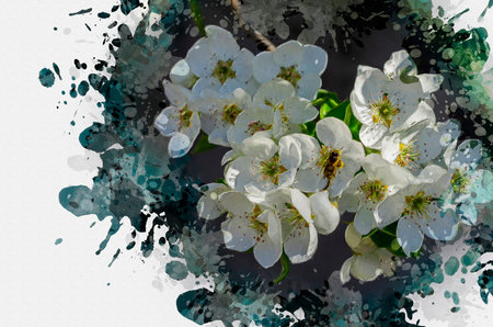 Spring flowering of the apple tree. White flowers on the branches of the tree. Digital watercolor...