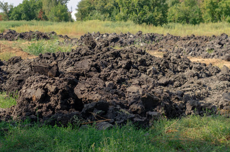 Partly plowed field with wild herbs. Field with green meadow grasses. Plowed over land. Farming, agribusiness. Daytime. Selective focus.の写真素材
