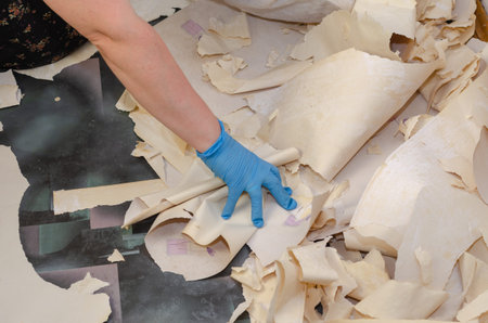 A mature woman removes torn pieces of paper wallpaper from the floor. Hands in blue gloves holding...