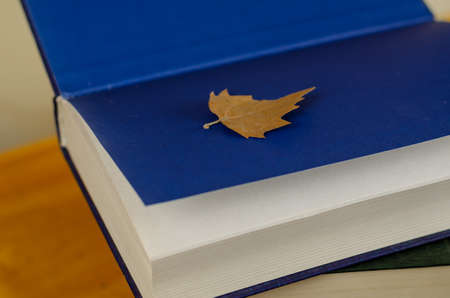 Dry yellow leaf lies on the blue endpaper book. Thick hardcover book. Selective Focus.の写真素材