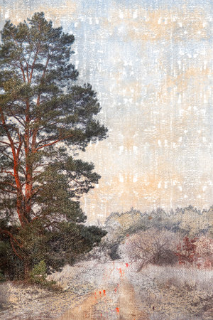 Dirt road in winter forest. Covered with frost and snow trees and bushes. Tall pine tree on the...