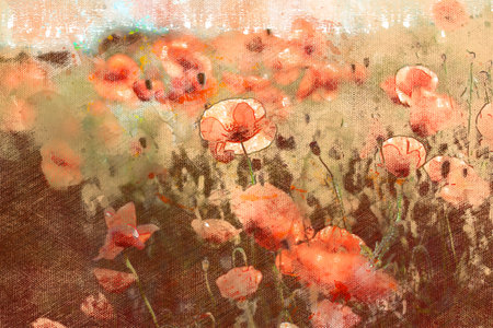 Field of Red Poppies. Beautiful wildflowers in the spring sunshine. Digital watercolor painting.の写真素材