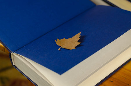 Dry yellow leaf lies on the blue endpaper book. Thick hardcover textbook with colored endsheets....