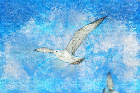 Sea gulls soaring in the blue sky. Two birds. Animals in their natural habitat. Digital watercolor paintingの写真素材