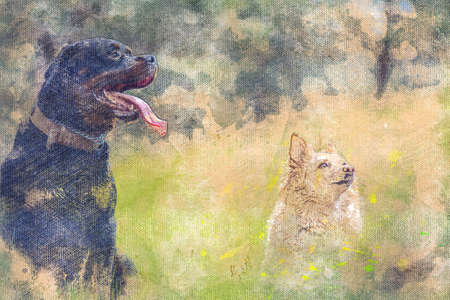 Portrait of two dogs sitting on green grass. Male Rottweiler and small red mixed breed dog. Pets. Digital watercolor paintingの写真素材