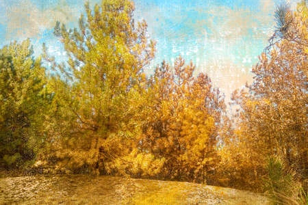 Yellow-green trees against a blue sky. Tall dead pines in the forest. Coniferous forest. Digital watercolor painting.の写真素材