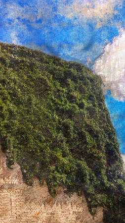 A tall red brick wall overgrown with green grapes. The exterior wall of the building against a blue sky with white clouds. Architecture. Digital watercolor paintingの写真素材