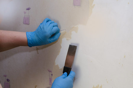 A woman wearing blue gloves is removing old wallpaper from the wall. Removing paper decorative wallpaper with a metal spatula. Inside the room. Series partの写真素材