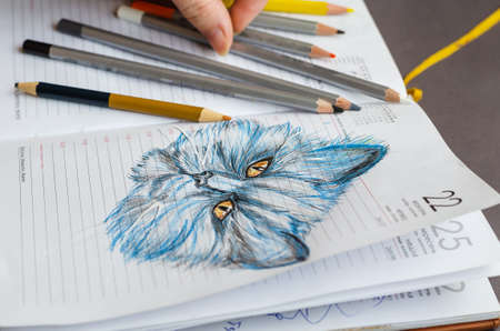 Adult Woman holding colored Pencils over an open diary. Blue pencil drawing of a cat on a white page. Talent, art, hobby.の写真素材