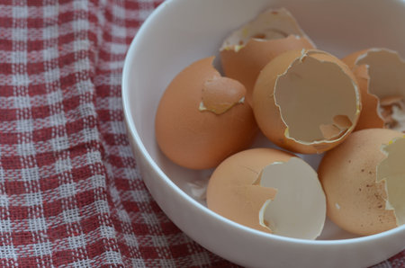 Egg shells from eaten eggs. Boiled chicken eggs. White ceramic bowl with broken shells. Close-up....