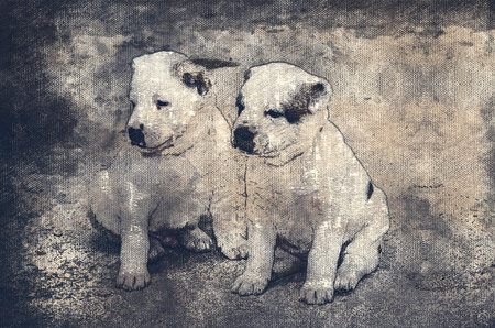 Alabai puppies. Two cute little pets. Digital watercolor painting. Modern Art