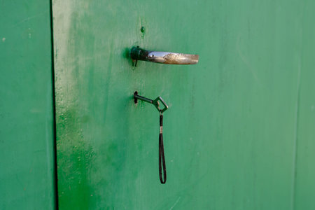 Green door with a key in the mortise lock. A metal key is inserted in the keyhole. An old iron door....