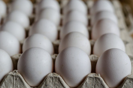 Close-up of a tray with white chicken eggs. Several dozen raw eggs. Selective focus. No people.