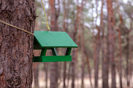 Green wooden feeder for wild birds and animals in the forest. Feeder on a toasty pine tree trunk. Daytime. Selective focus.の写真素材