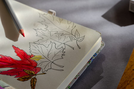 Drawing autumn leaves with watercolor pencils. Pencil outline of autumn leaves. Hand-drawn sketch in...