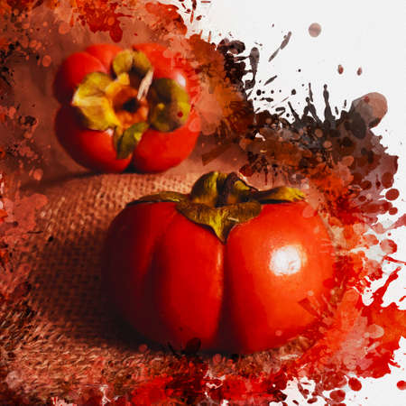 Ripe persimmon fruit. Two red fruits on rough burlap fabric. Healthy Useful Food. Digital watercolor painting.の写真素材