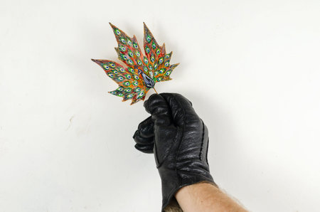 Painted peacock on a fallen leaf. A hand in a black leather glove holds a leaf with a beautiful...