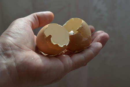 The hand holds the cracked eggshell. Adult male with brown eggshells from varnished chicken eggs. Close-up. Selective focus. Inside the room.の写真素材