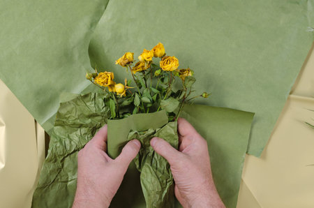 Men's hands wrap green paper around dried yellow flowers. A fading bouquet of yellow roses....