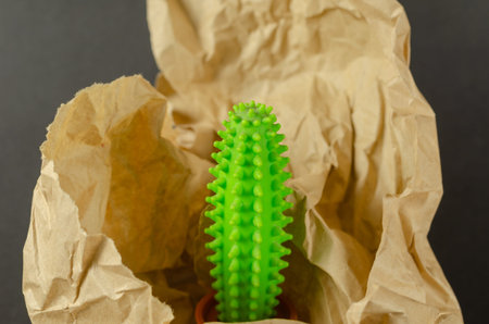 Rubber children's toy wrapped in paper. Green cactus and crumpled wrapping paper. Close-up. Selective focus.の写真素材