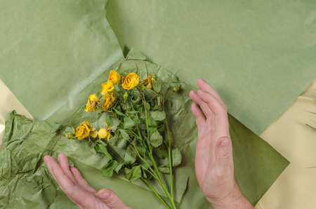 Two men's hands embrace wilting flowers. A bouquet of dying yellow roses against a green background. selective focus.の写真素材
