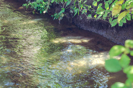 The current of a small forest river. A tiny ripple on the surface of a fast-flowing river. summertime. close-up. selective focus. blurred motion.の写真素材