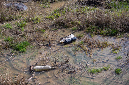 A puddle of old dirty plastic bottles. Environmental problem, recycling concept.