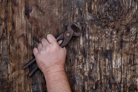 A man's hand holds old iron pincers against a dark wooden background. Cracked wooden surface with...