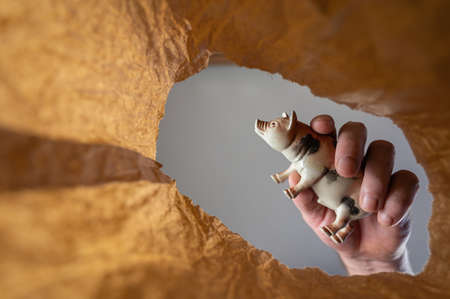A hand places a pig figurine in a paper bag. A mature man's hand holds a child's toy over an open brown bag. Shot from the bottom up. close up. selective focusの写真素材