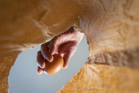 A hand places a chicken egg in a paper bag. A mature man's hand holds a brown egg over an open brown bag. Shot from the bottom up. close up. selective focus.の写真素材