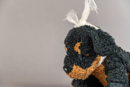 A child's toy with a bandaged head. A black stuffed dog against a gray background. Childhood trauma...