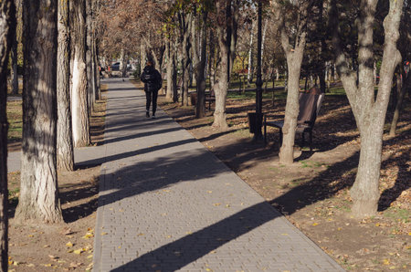 A gray walkway among the trees in a European city. A woman with brown hair walks away on the sidewalk. Brown benches with garbage cans along the sidewalk.の写真素材