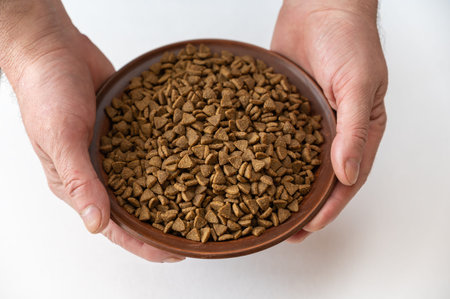 pet food. A man is holding a brown bowl of dry food. Pelleted food against a white background....