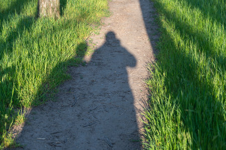 The shadow of a couple on a path in a forest or park. The gray shadows of a man and a woman on a dirt path among the green grass. selective focusの写真素材