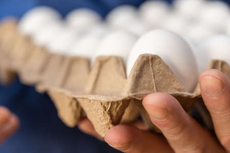 Man holding chicken eggs in a cardboard tray. Raw white chicken eggs in an open recycled tray.の写真素材