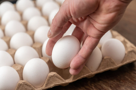 A man puts a chicken egg in a cardboard tray. Adult male holding a white raw egg. open recycled...