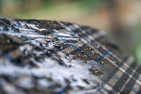 Wet umbrella. Close-up of an accessory designed to protect against precipitation. outside. close-up. selective focus.の写真素材