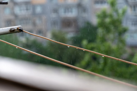 Close-up of raindrops on a clothesline. Summer downpour. Trees with lush green foliage blurred in...
