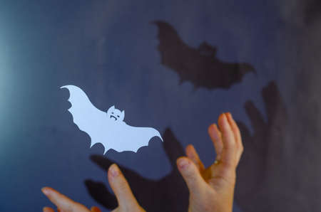 A white paper bat and a woman's hands against a gray wall. Halloween attribute cut out of a sheet of paper with scissors. The shadow of an animal silhouette floating in the air on the wall.の写真素材