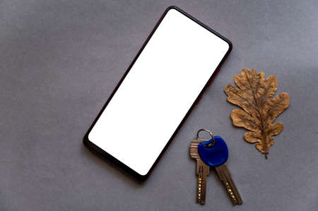 Smartphone, door keys and a brown oak leaf on a gray background. White blank screen of the device. autumn oak leaf. copyspace. selective focus.の写真素材