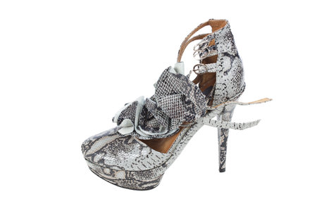Luxury snake leather women shoe isolated on white background