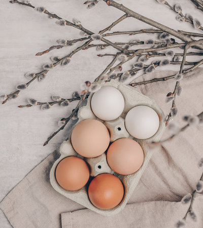 Easter eggs in a box with willow branches on grey background