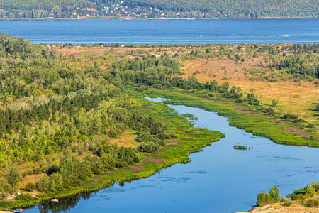 A quiet creek overgrown with reeds reflected in the water on the Volga River near the city of Samara, Russia. Blue water, sandy shore, tree, forest, bush. Quiet summer morning with light sky.の写真素材