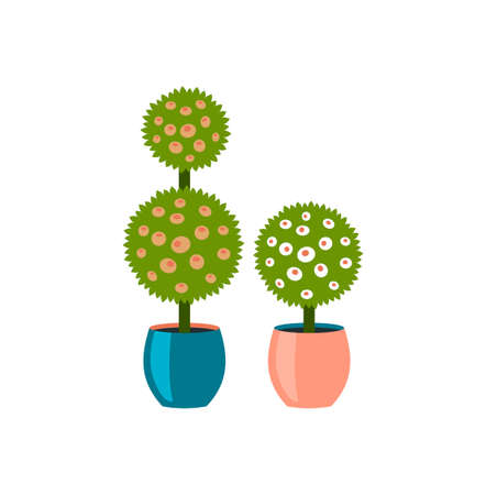 Spherical indoor plants in pots. Bright thorny succulents with flowers in decorative flowerpots. Minimalistic scandinavian design and modern trendy interior. Vector cartoon illustrationのイラスト素材