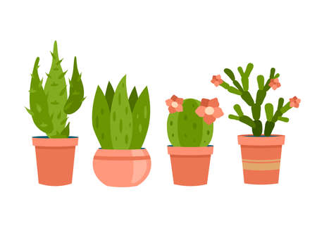 Interior succulents in pots. Decorative green cacti of various shapes with flower. Modern natural decor apartment and home interiors. Houseplant for scandinavian design. Vector cartoon illustrationのイラスト素材