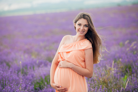 pregnant nice girl in a lavender fieldの写真素材