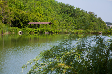 building near the river and near the forestの写真素材