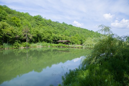 building near the river and the forestの写真素材